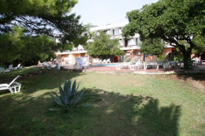 Отель Hotel Kamelija  Тиват